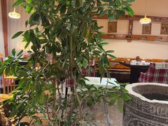 -慢丽江·云南野生菌土鸡锅(付家庄店)
