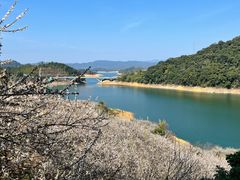 -广州市流溪河国家森林公园