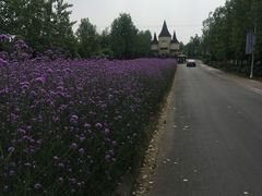 -紫颐香薰山谷景区