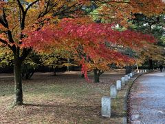 -京都御所