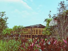 包房-花溪雨·森林餐厅(石基店)