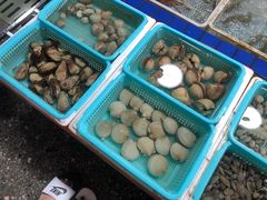 -霞涌市场海鲜摆卖区