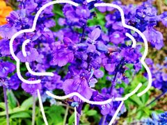 -西安市长乐公园