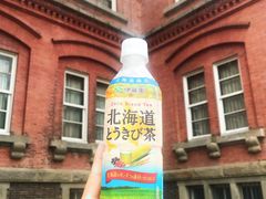 -北海道厅旧本厅舍(旧本庁舎)