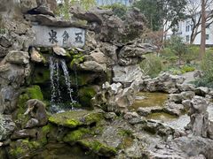 -上海醉白池公园