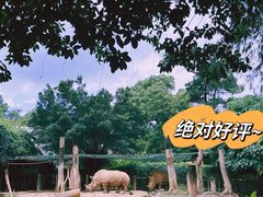 -广州动物园