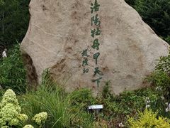 -西苑公园