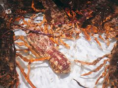 -万龙洲海鲜(大兴绿地缤纷城店)