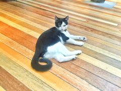 -猫的天空之城概念书店(杭州南宋御街店)