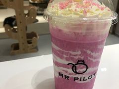 -飞行喵MR PILOT|猫舍·猫咖(静安大融城店)