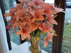 -春暖花开(西溪店)