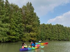 -上海海湾国家森林公园