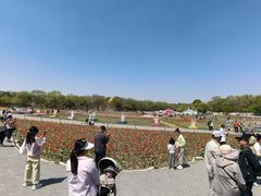 -北陵公园