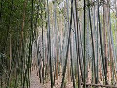 -东方绿舟景区