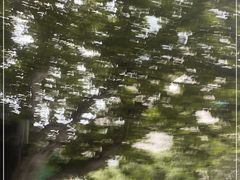 -上海明天广场JW万豪酒店