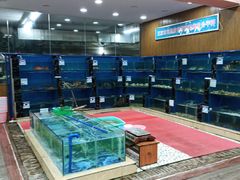 -君港海鲜(三亚湾店)
