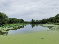-艾溪湖湿地公园