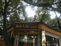 -华西村