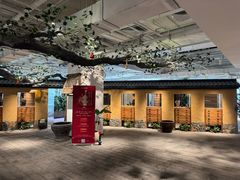 -大视光学•LINDBERG林德伯格•全球手工眼镜集合店(王府井店)