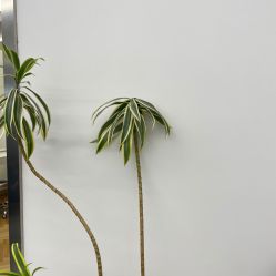 -Y-STUDIO原理