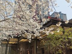 -玛格萝妮比萨屋(四平店)