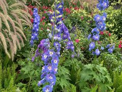 -深圳国际园林花卉博览园