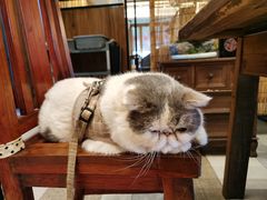 -四季暖堂·融合江浙菜(N1955创业园店)