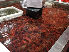 -盒马鲜生(领丰汇店)