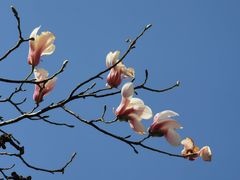 -三里河公园