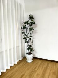 -馨媛瑜伽普拉提