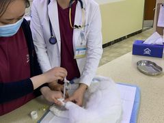 -美联众合动物医院·24h转诊中心