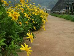 -普迪生态园
