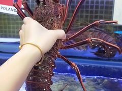 -喜碧海鲜·二十年本土海鲜老字号(上排店)