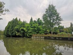 -桤木河湿地公园