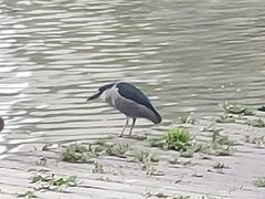 -苏州河梦清园环保主题公园