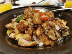 鲜沙姜焗生蚝鸡-樱苑(四川北路店)