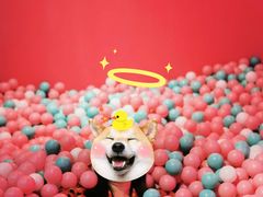 -深圳独角兽星空艺术馆