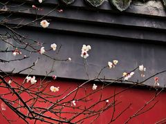 -钱王祠