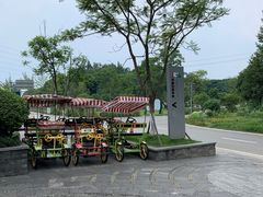 -桤木河湿地公园