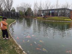 -窗外西餐厅(普罗理想国店)
