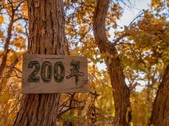 -党河风情线国家水利风景区