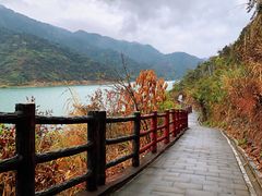 -羚羊峡古栈道森林公园