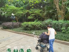 -田螺阿姨自营月嫂·育儿嫂(高新店)