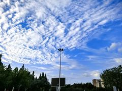 -四川大学(望江校区)