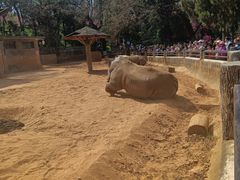 -昆明动物园