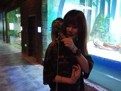 -华夏文旅海洋公园