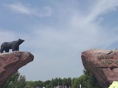 -黑瞎子岛探秘野熊园