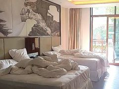 -成都安仁福朋喜来登酒店