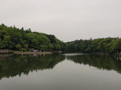 -象山森林公园