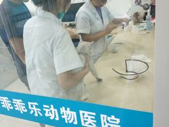 -乖乖乐动物医院(小汤山分院)